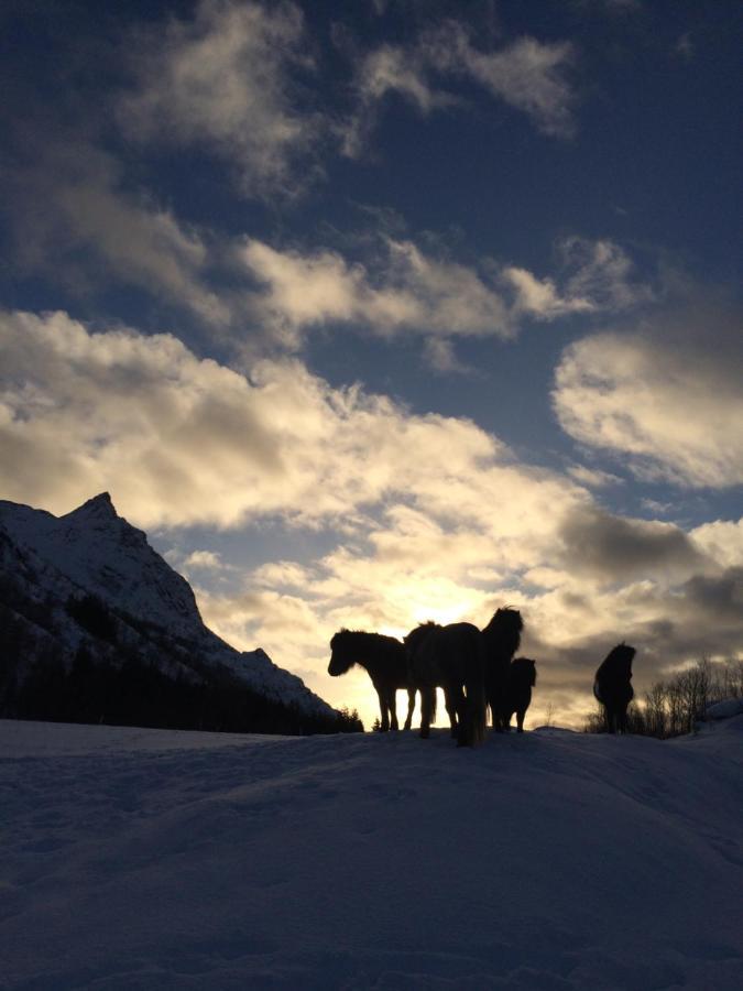 Flo Lofoten Nature Escape Valberg Exterior foto